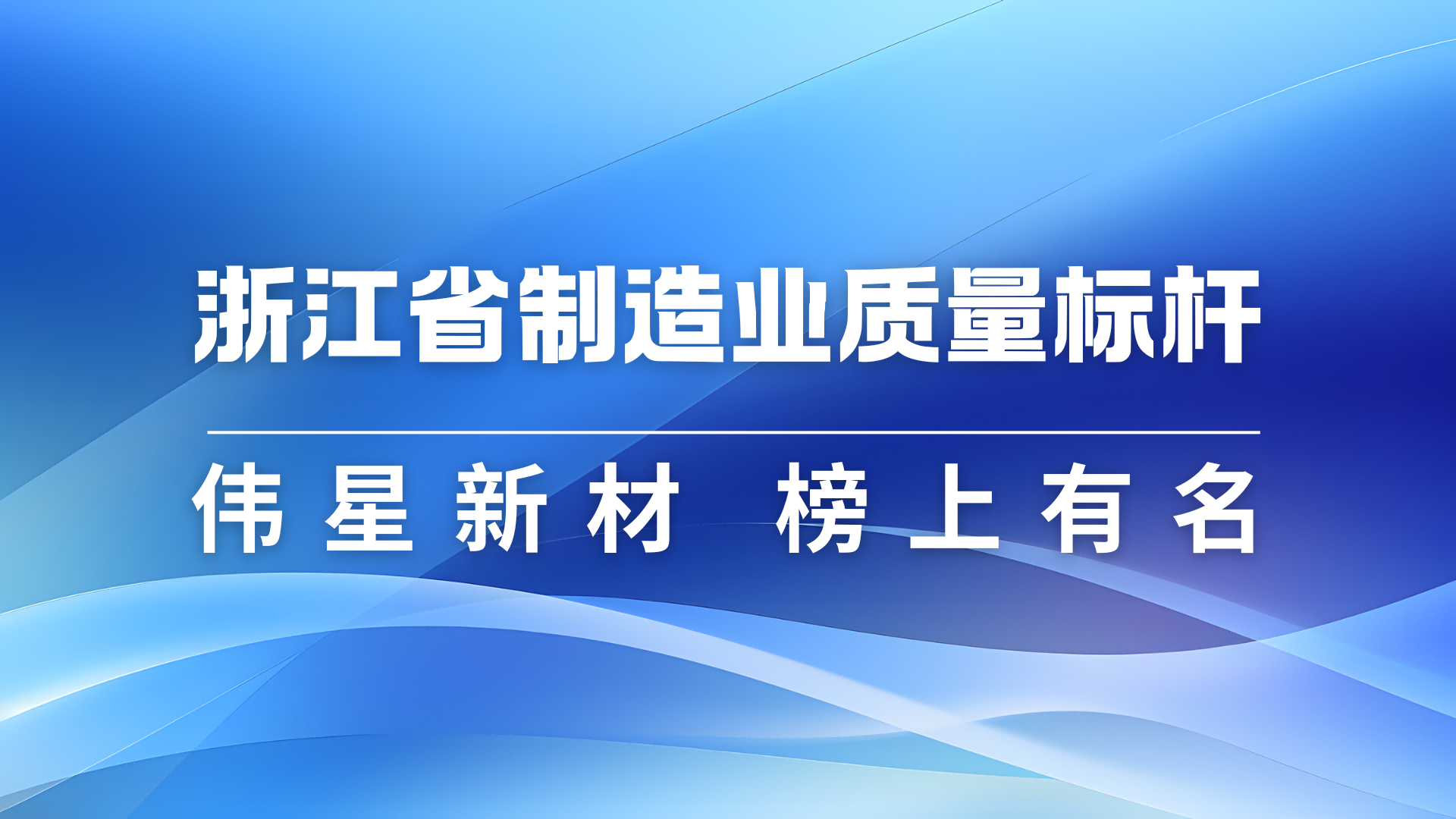 全网担保网新材获评2024年浙江省制造业质量标杆